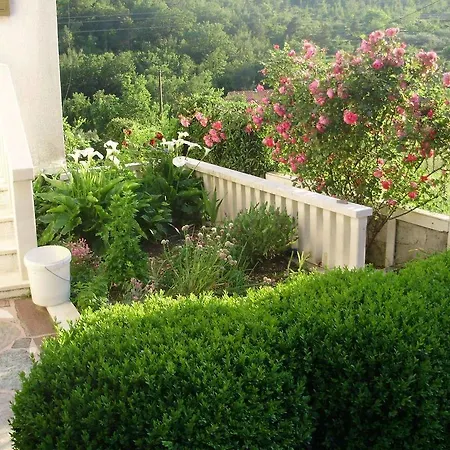 Apartman - Omis Gasthuis 2*