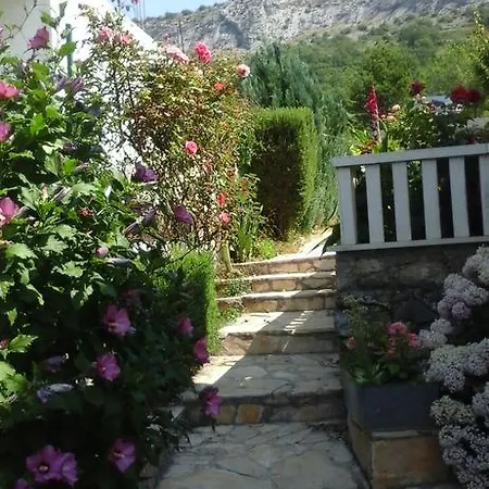 Apartman - Omis Gasthuis